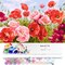 Paint by Numbers Kit for Adults Beginners,20" Wx16 L Canvas for Painting Kits for Adults in Colorful Box Poppy Flowers-BSC001